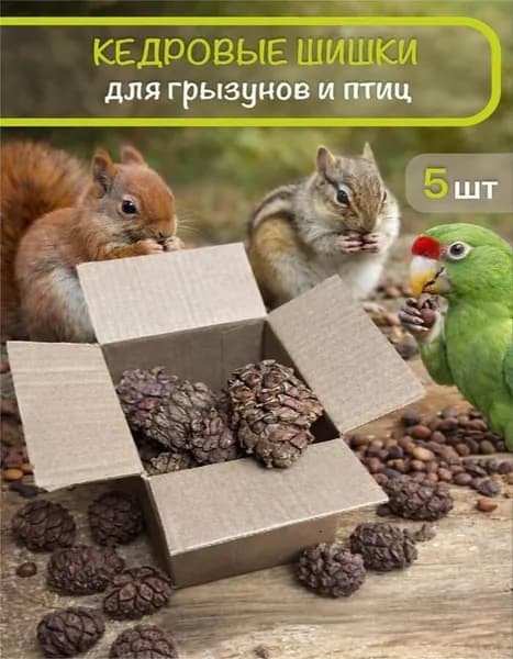 Кедровые шишки с повреждениями 5 шт