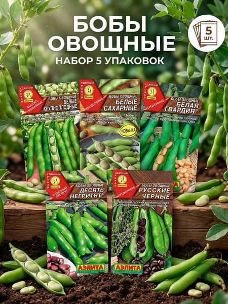 Бобы семена для посадки
