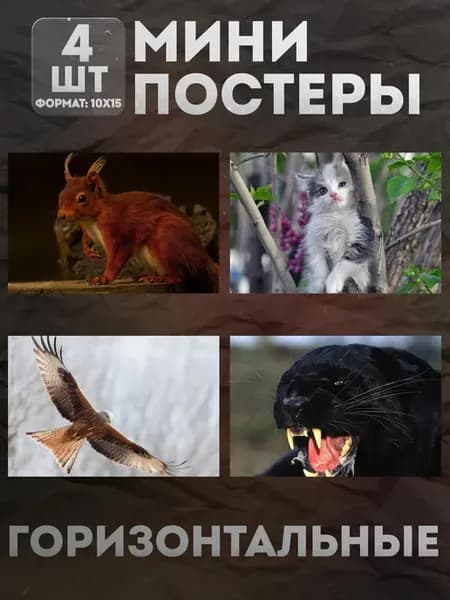 Мини постеры 10 на 15 (набор) «Животные» 4 шт
