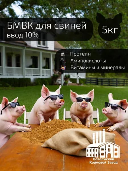 БМВК для свиней (ввод 10%), 5 кг