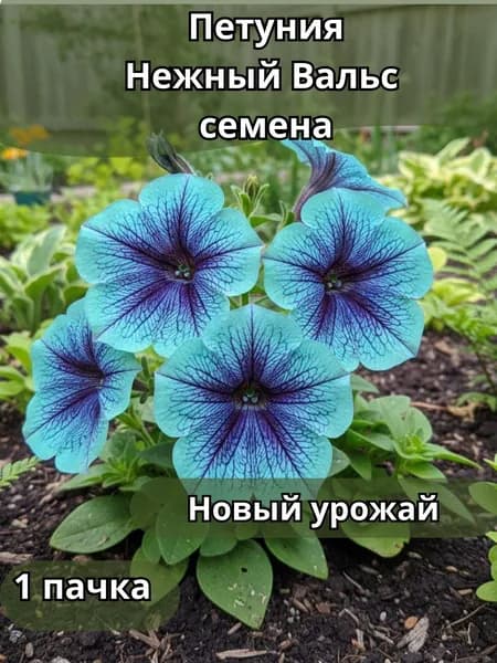 Петуния Нежный Вальс, семена 10 шт