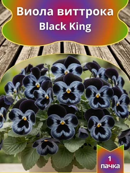 Виола Виттрока Black King 10 шт