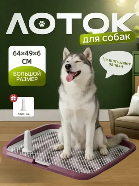 Лоток для собак под пеленку большой