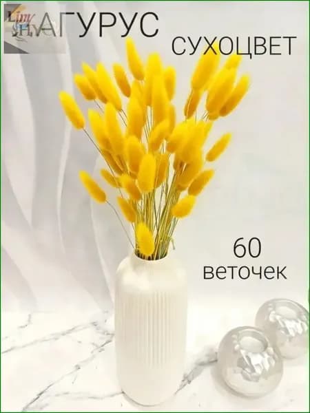 Сухоцветы Лагурус, 55 см, 100 гр, 60 шт