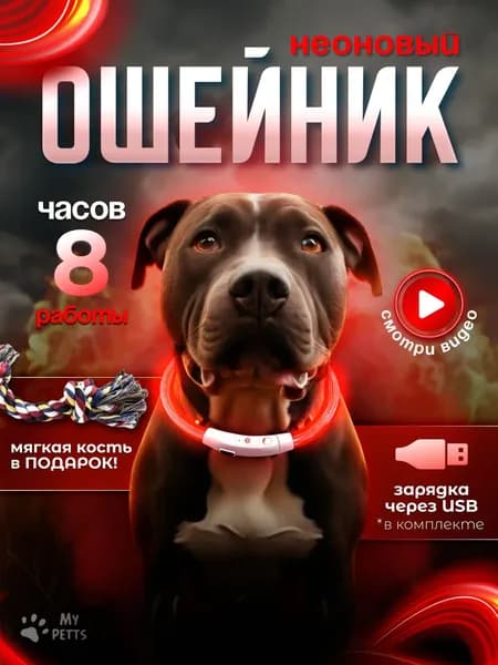 Светящийся светодиодный неоновый ошейник для собак usb