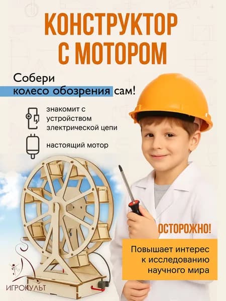 Деревянный конструктор, сборная модель с питанием Колесо обозрения