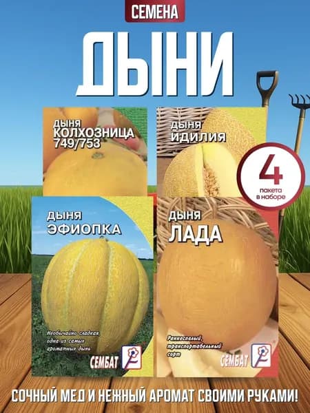 Набор популярных Дынь 4 уп