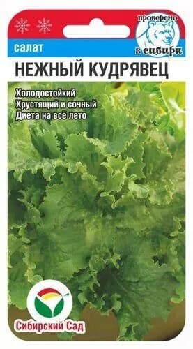 Салат Нежный кудрявец 0,5гр (Сиб Сад)