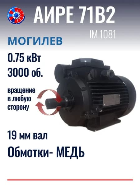 Электродвигатель однофазный Могилев АИРЕ 71В2 0.75 кВт 3000об./мин. ЛАПЫ