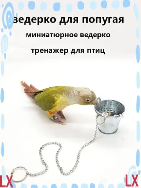 Премиум игрушка для попугая, 3.5 см, 1 шт