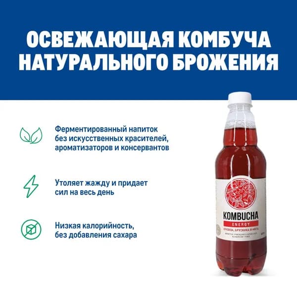 Напиток на чайном грибе Комбуча Absolute Nature Energy с клюквой, брусникой и свежей мятой, 555мл