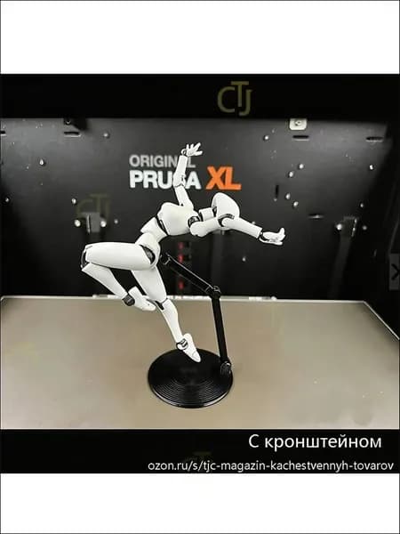 Модели анатомии человека подходят для рисования и зарисовки эскизов. Суставы подвижны. Требуется самостоятельная сборка.С типом кронштейна.