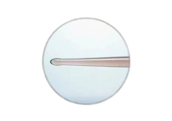 Буж уретральный, прямой, оливообразный, 34см, Fr24, материал: ПВХ (Coloplast)