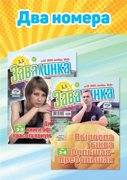 Завалинка. Комплект из двух номеров за ноябрь 2025 г.