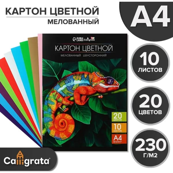 Calligrata Картон, количество листов: 10