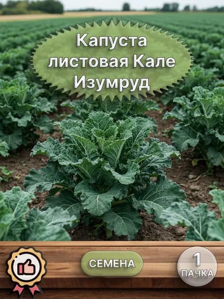 Капуста листовая Кале Изумруд (семена)