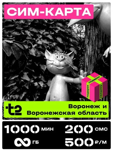 Сим карта теле 2 с безлимитным интернетом. t2 SIM-карта тариф Партнер М Воронежская область. 1000 минут за 500 рублей в месяц.