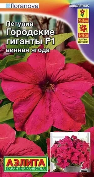 Петуния "Городские гиганты F1 винная ягода" семена цветов Аэлита, 7 шт