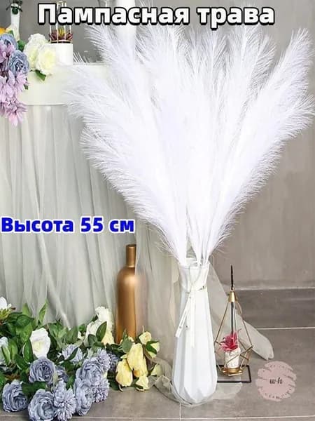 Сухоцветы Пампасная трава 55 см 1 шт белый