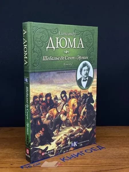 Шевалье де Сент-Эрмин. Книга 2 — французская классика, Дюма