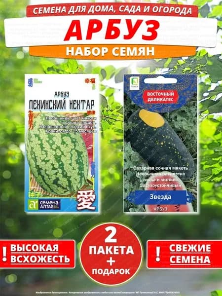 Семена арбуз для дома сада посадки
