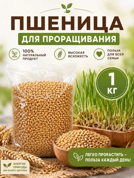 Пшеница для проращивания 1 киллограм