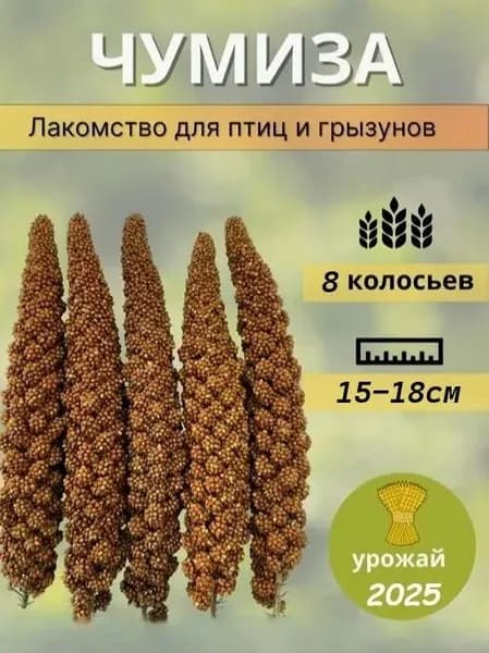 Желтое пшено нового урожая года, ароматное и мягкое, оптовая продажа для корпоративных льгот