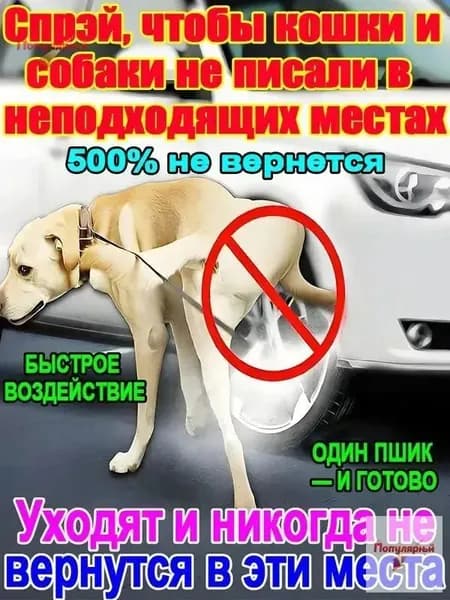 Спрей-отпугиватель для кошек и собак "Антигадин" защита мебели и ковров от меток и царапания. Натуральный состав, мгновенное действие.