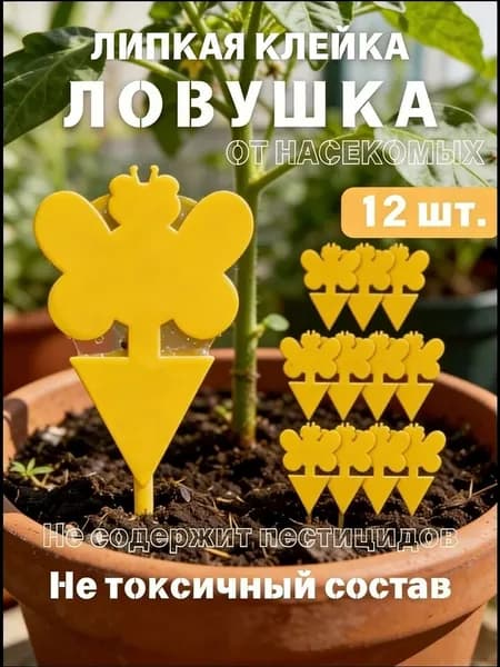 Ловушка для садовых вредителей