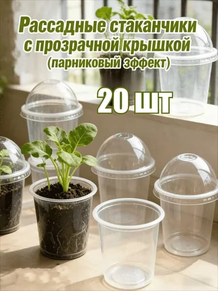 Набор для рассады