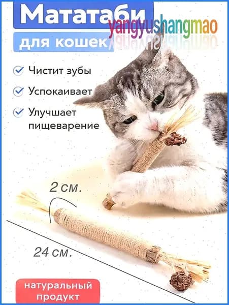 Палочка мататаби для кошек и собак. Игрушка жевательная дразнилка для кошек, деревянная с плодом. VESTO