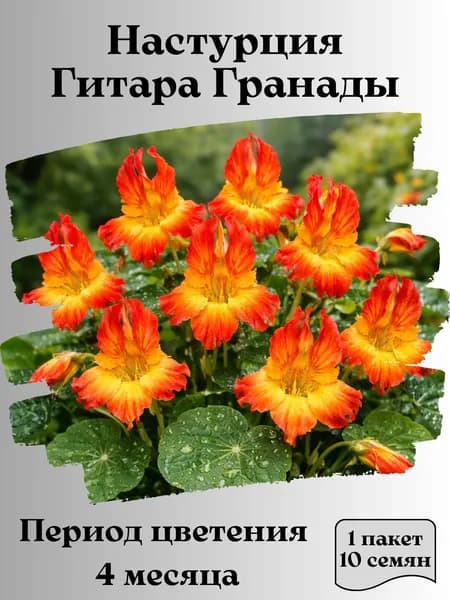 Настурция Гитара Гранады, семена, 10 шт.