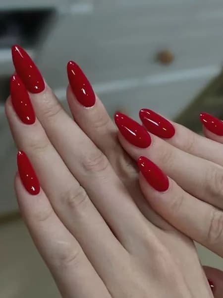 Накладные ногти ( 24 типсы + клей )