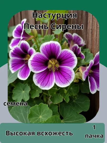 Настурция Песнь Сирены, семена 10шт
