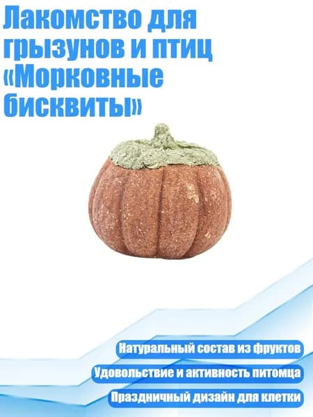 Лакомство для грызунов и птиц Морковные бисквиты , - 1 тыква