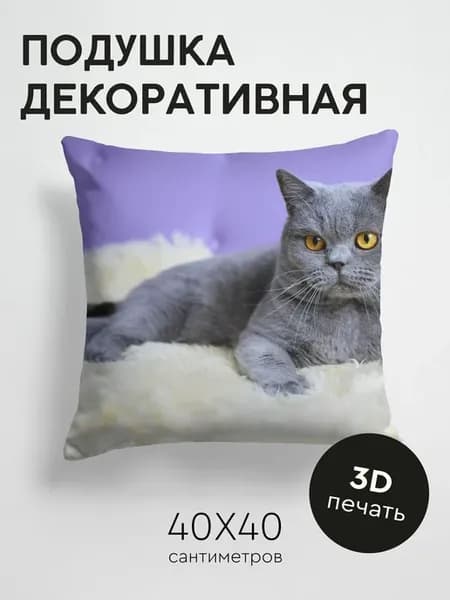 Подушка декоративная, 40x40см Животные кот британец