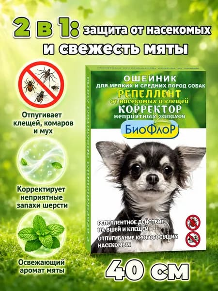 БиоФлоР Ошейник репеллентный для собак мелких и средних пород от насекомых и клещей, корректор неприятных запахов с освежающим ароматом мяты, 40 см
