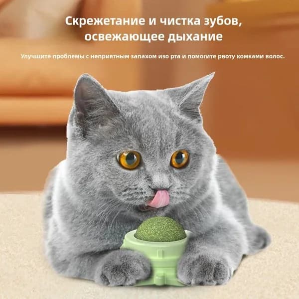 Игрушки для кошек, кошачья мята, леденец для кошек, шарик на стену