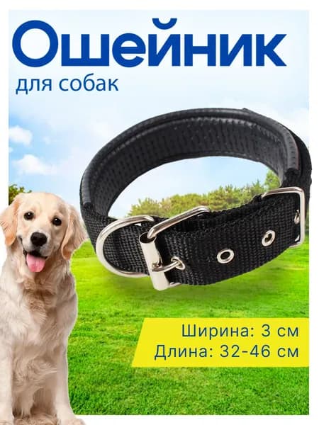 Ошейник для собак крупных и средних пород с подкладкой из мягкой кожи ширина 3см