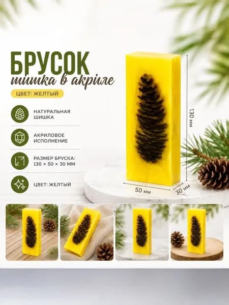 Брусок Шишка в Акриле