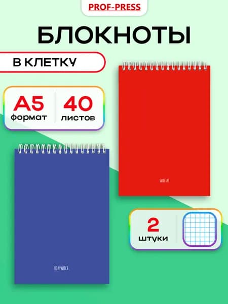 Блокнот гребень A5 40 л Prof-Press Классика с надписями