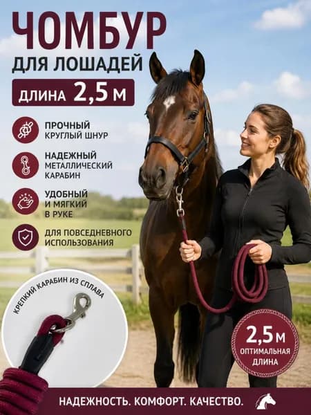 Бордовый уздечник для верховой езды 0720