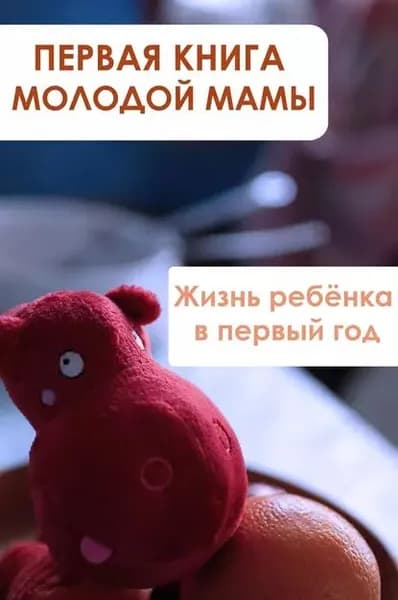 Жизнь ребёнка в первый год | Мельников Илья Валерьевич | Электронная книга