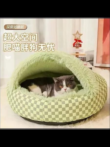 Свежая полузакрытая ракушка для кошек зелёный (цвет травы)