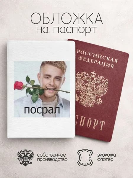 Обложка на паспорт мем с егоом кридом поср*л