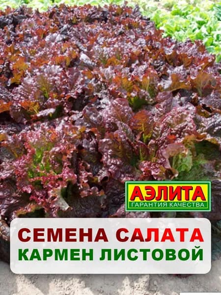 Семена салат "Кармен листовой", 0,5 г, для дома, дачи и огорода, салат из семян, в открытый грунт
