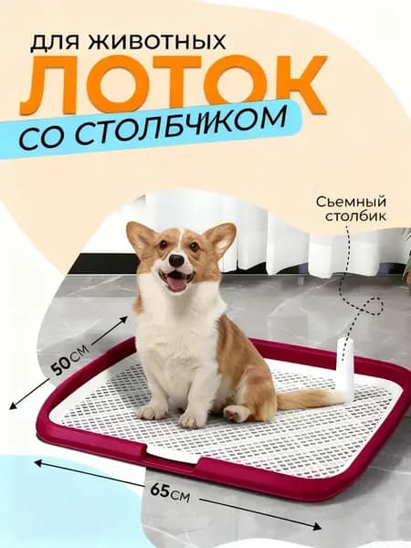 Лоток для собак под пеленку большой