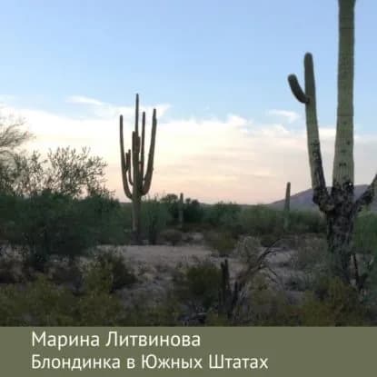 Блондинка в Южных Штатах | Литвинова Марина | Электронная аудиокнига