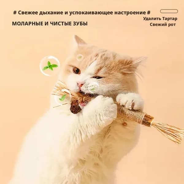 Натуральная игрушка для кошек для чистки зубов, 1 шт / палочки Мататаби с джутовым волокном, кукурузными кисточками и сушеным плодом мататаби