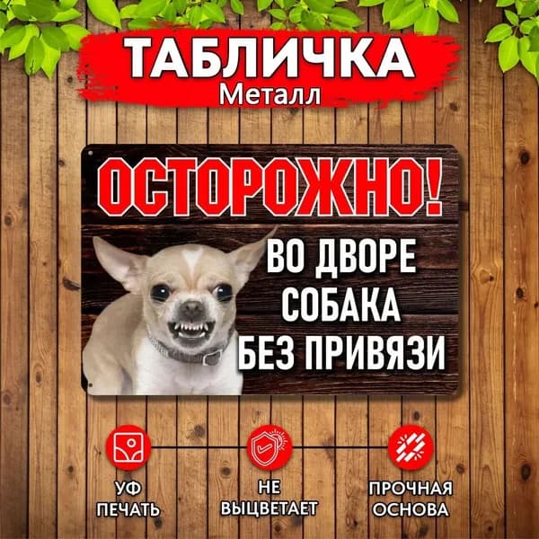 Табличка Осторожно Во дворе собака без привязи Чихуахуа